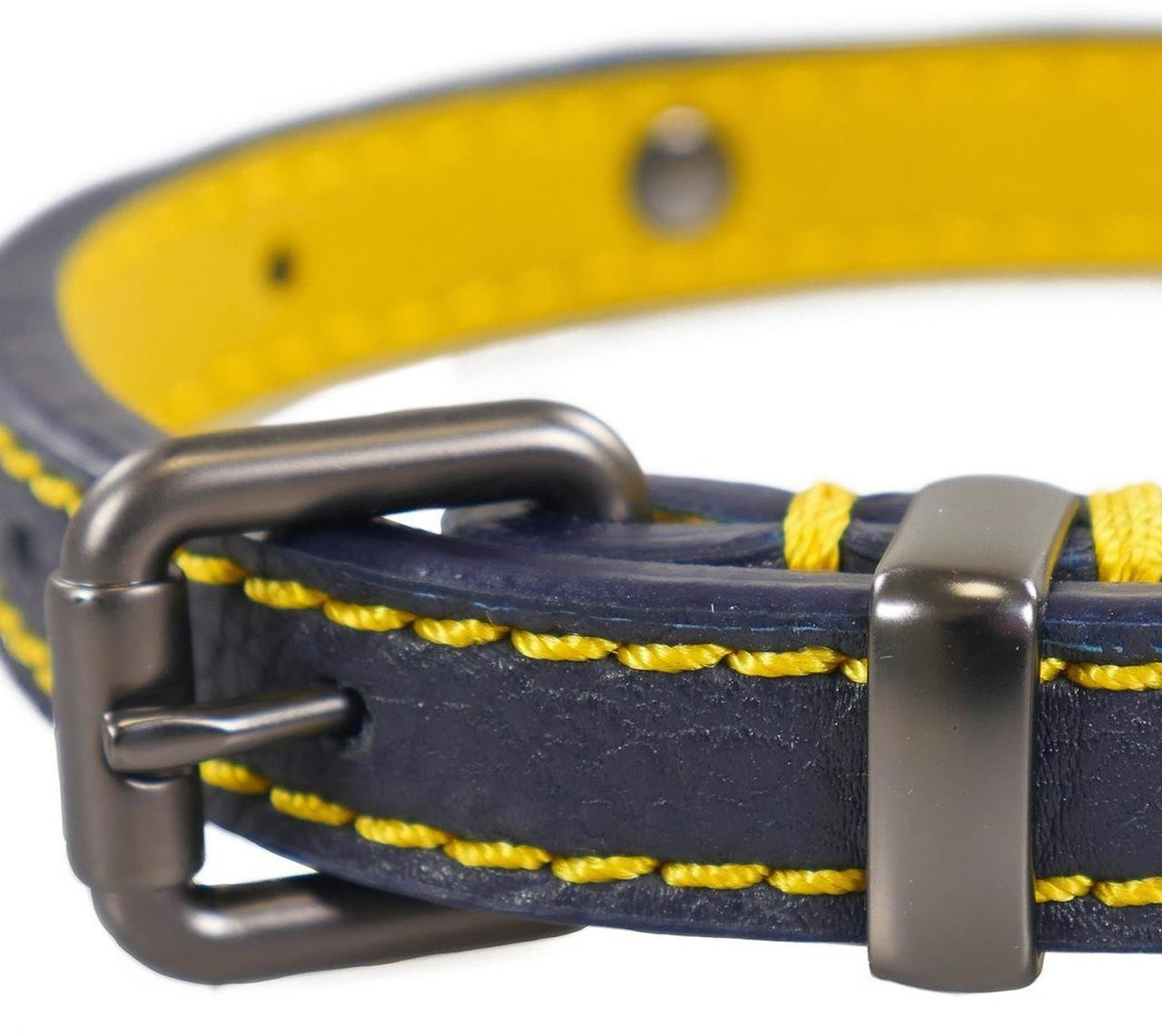 Joules Collier pour chien Medium Joules Collier pour chien Medium