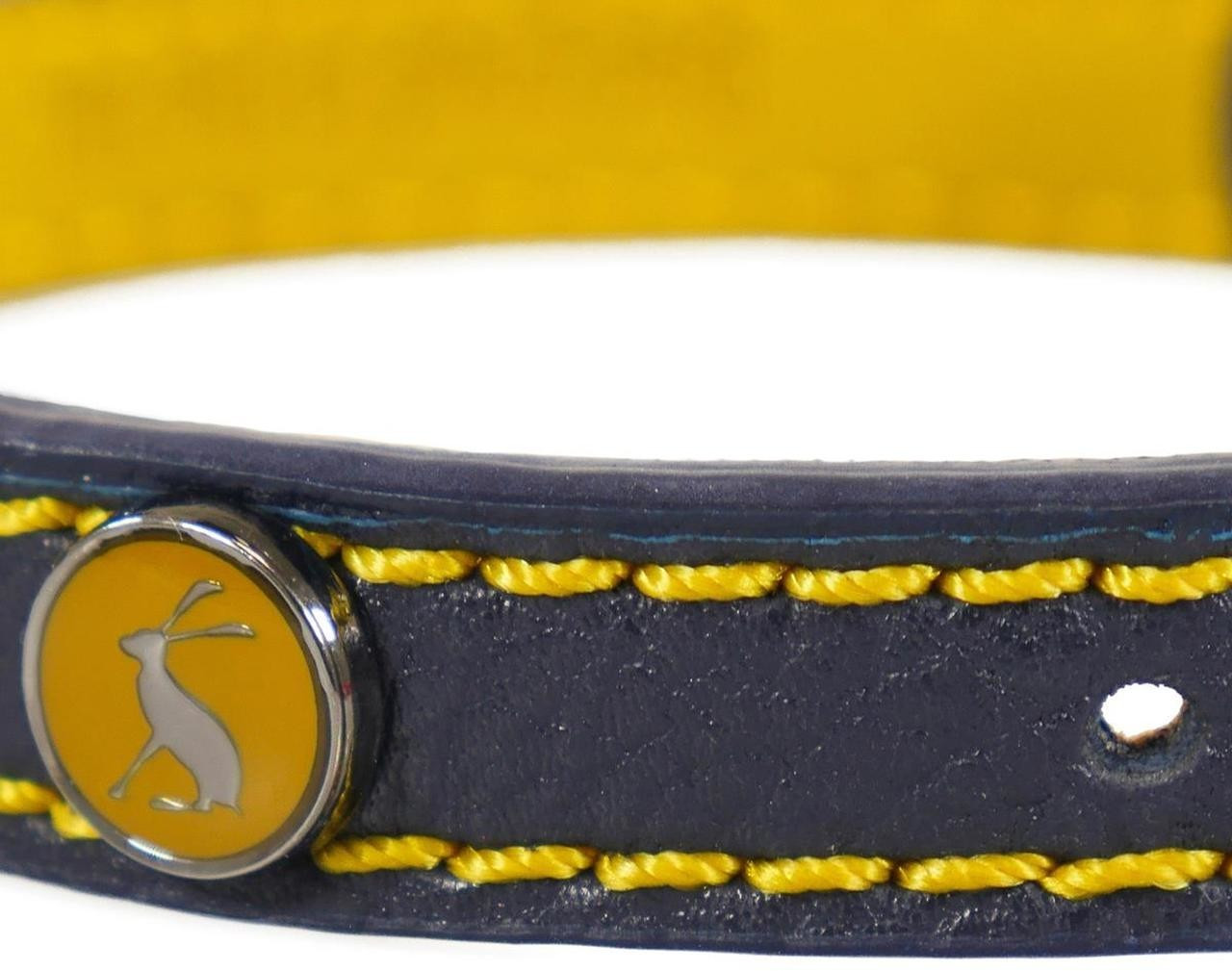 Joules Collier pour chien Medium Joules Collier pour chien Medium