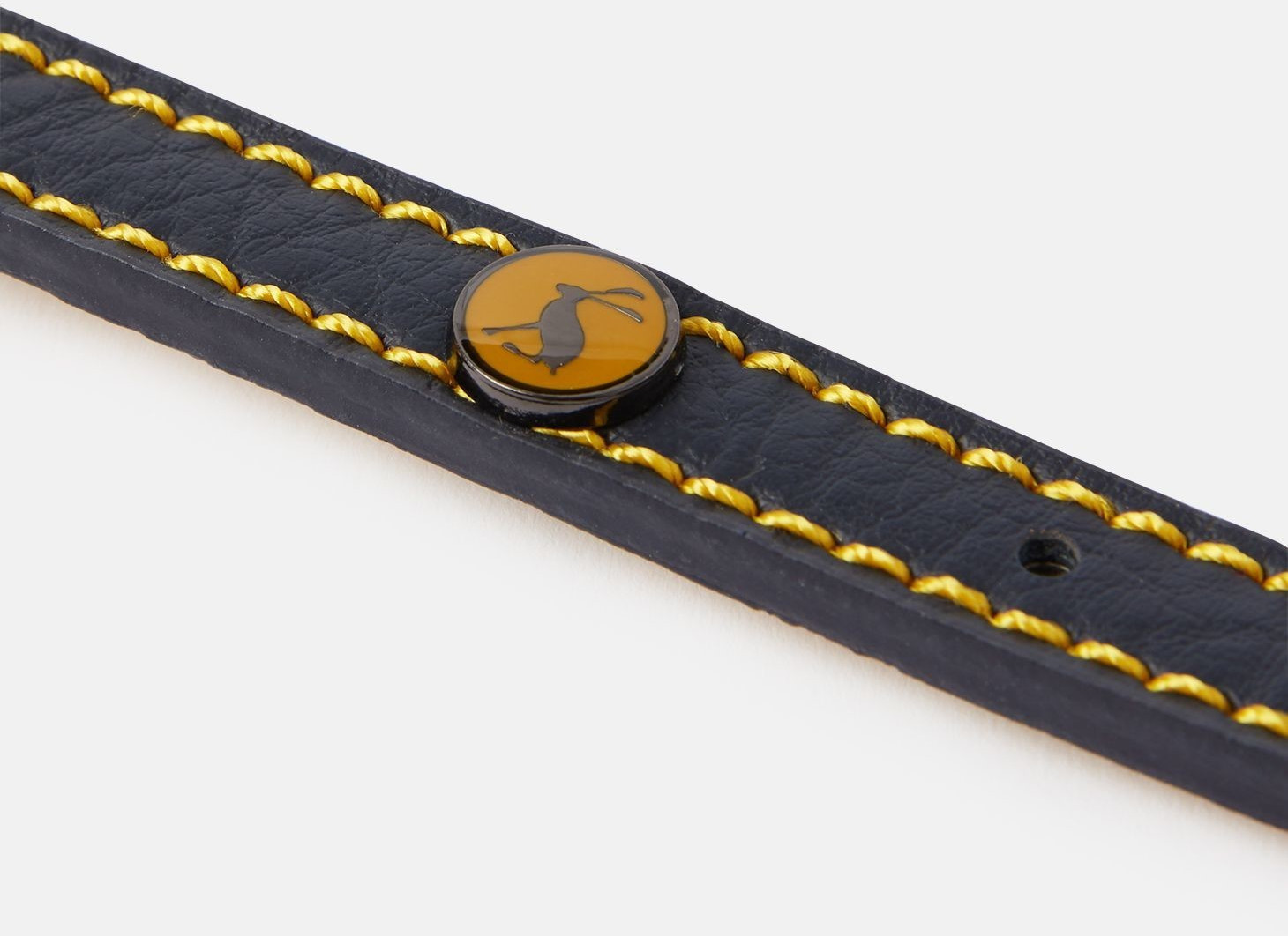 Joules Collier pour chien Small Joules Collier pour chien Small
