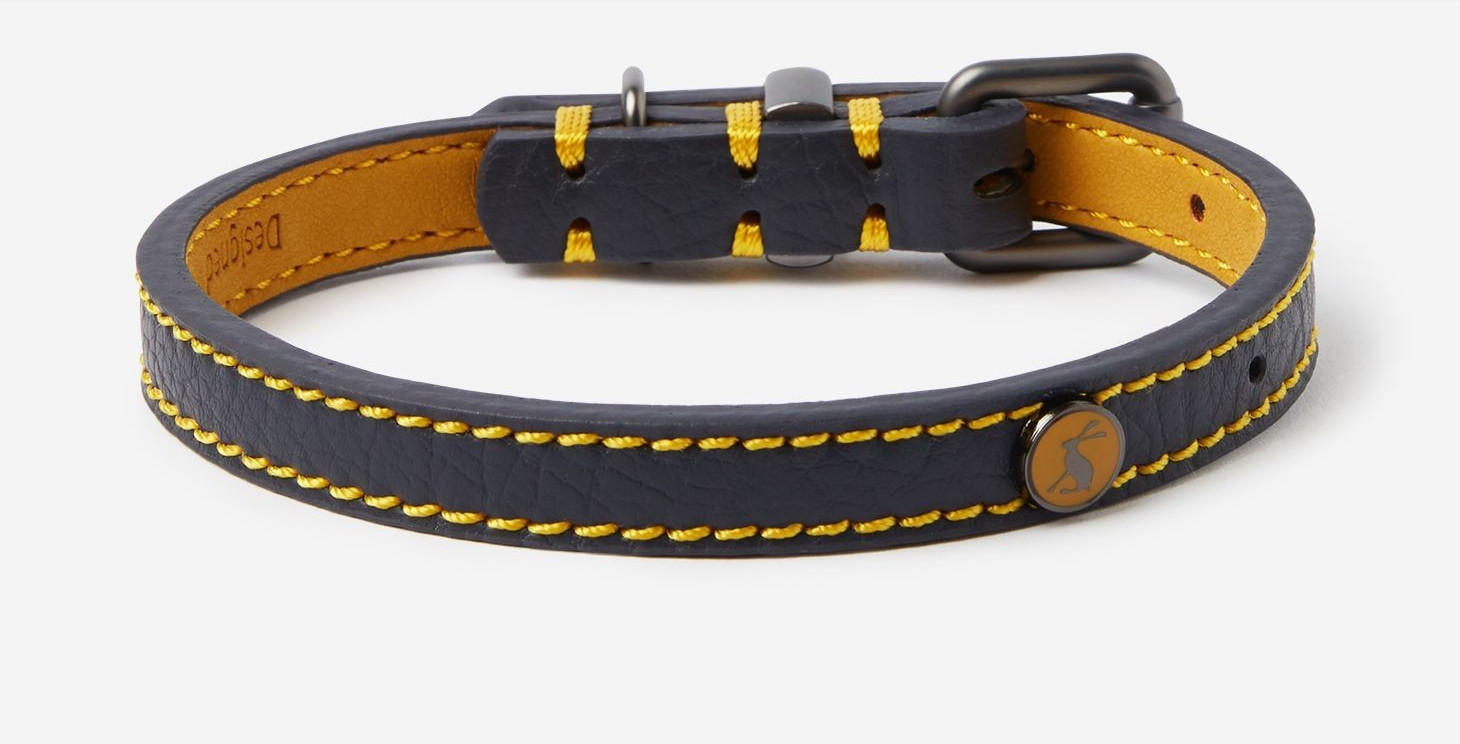 Joules Collier pour chien Small Joules Collier pour chien Small