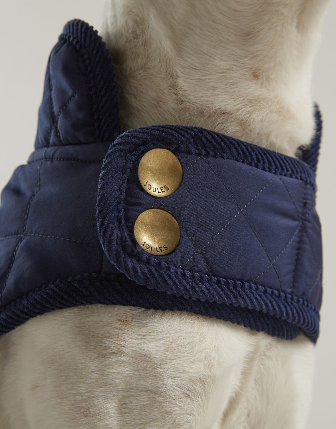 Joules Clothing Manteau pour chien Medium Joules Clothing Manteau pour chien Medium