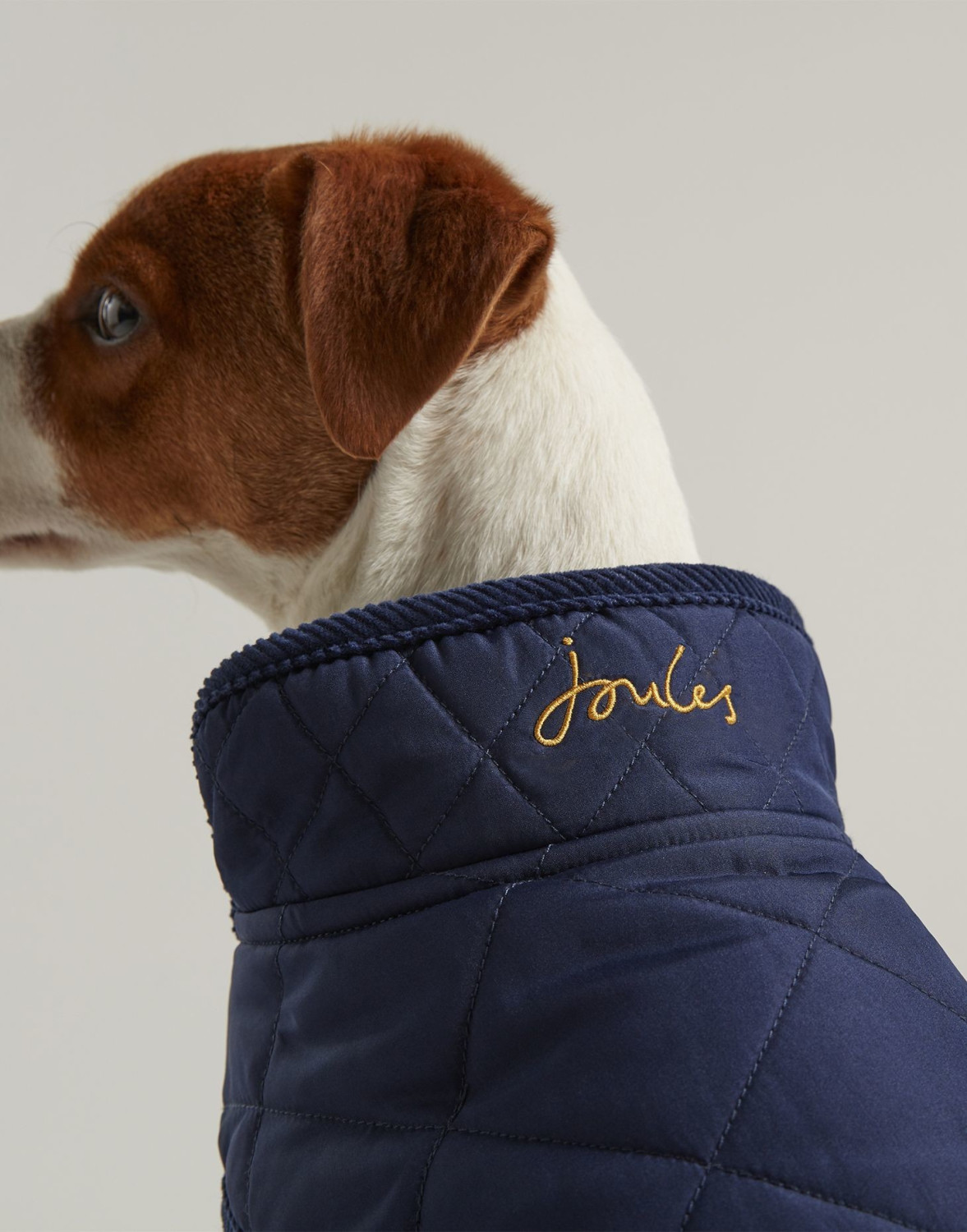 Joules Clothing Manteau pour chien Medium Joules Clothing Manteau pour chien Medium