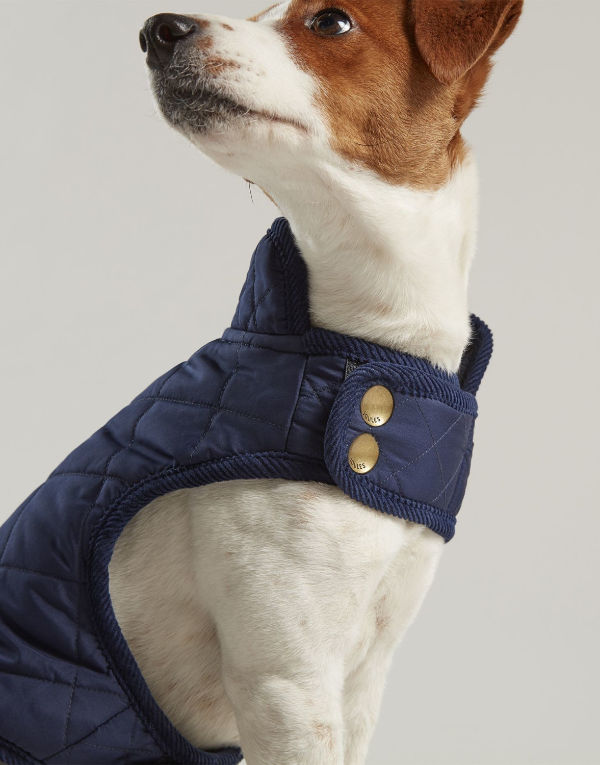 Joules Clothing Manteau pour chien Medium Joules Clothing Manteau pour chien Medium