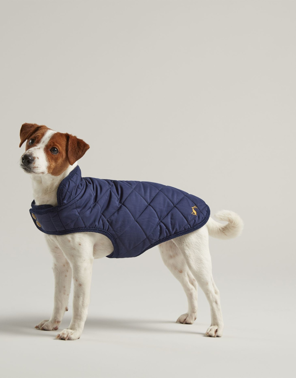 Joules Clothing Quilted Navy Pet Coat