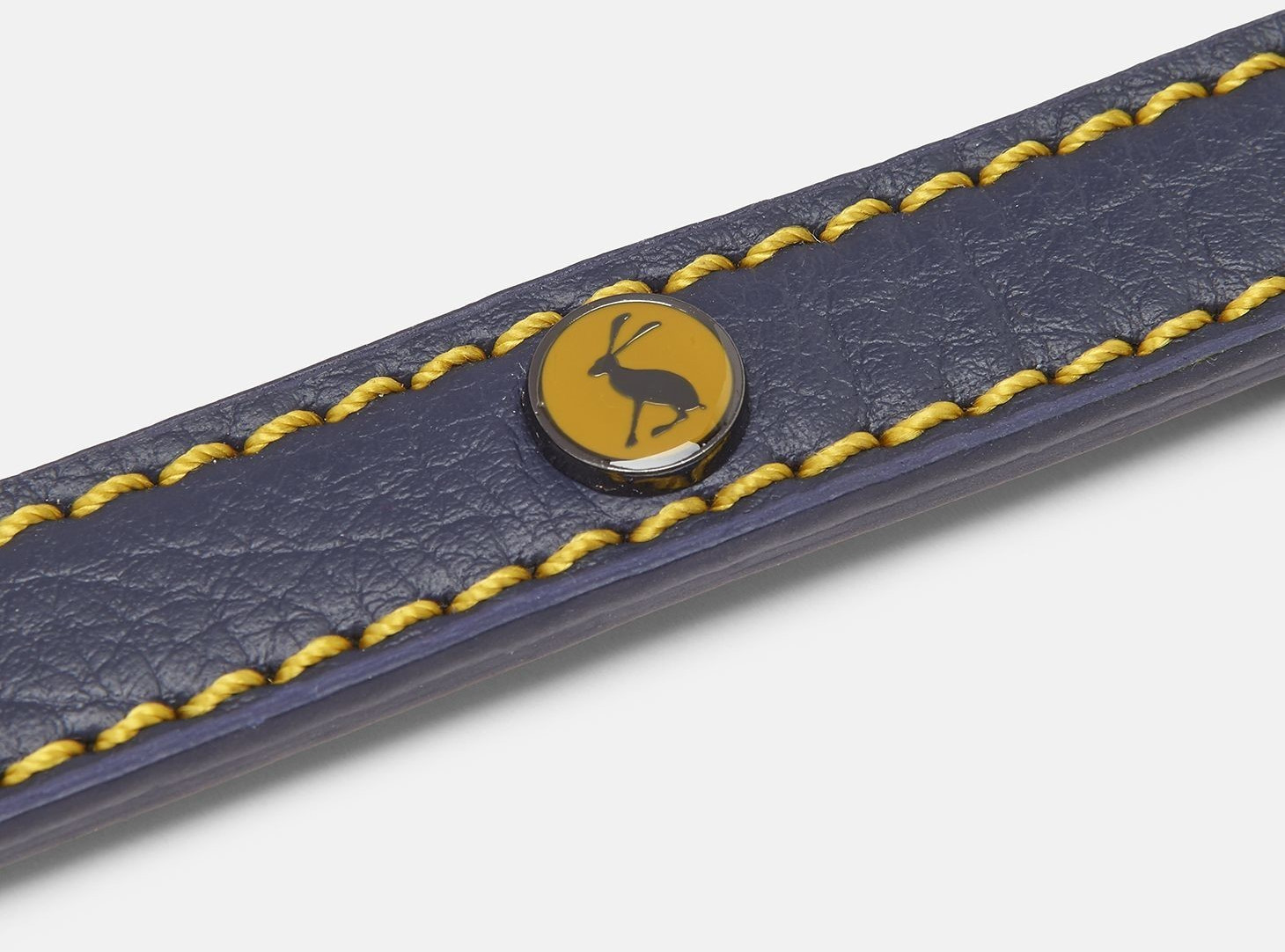 Joules Laisse classique pour chien Joules Laisse classique pour chien