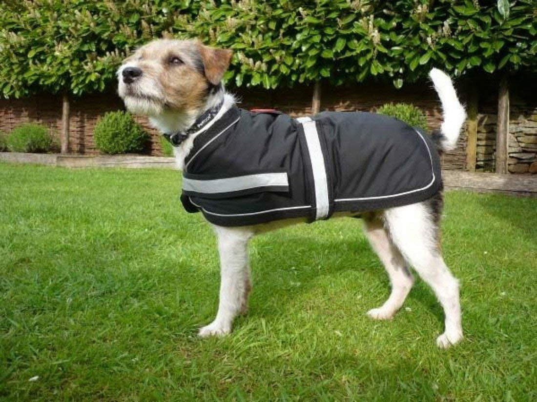 Petface Manteau pour chien Petface Manteau pour chien