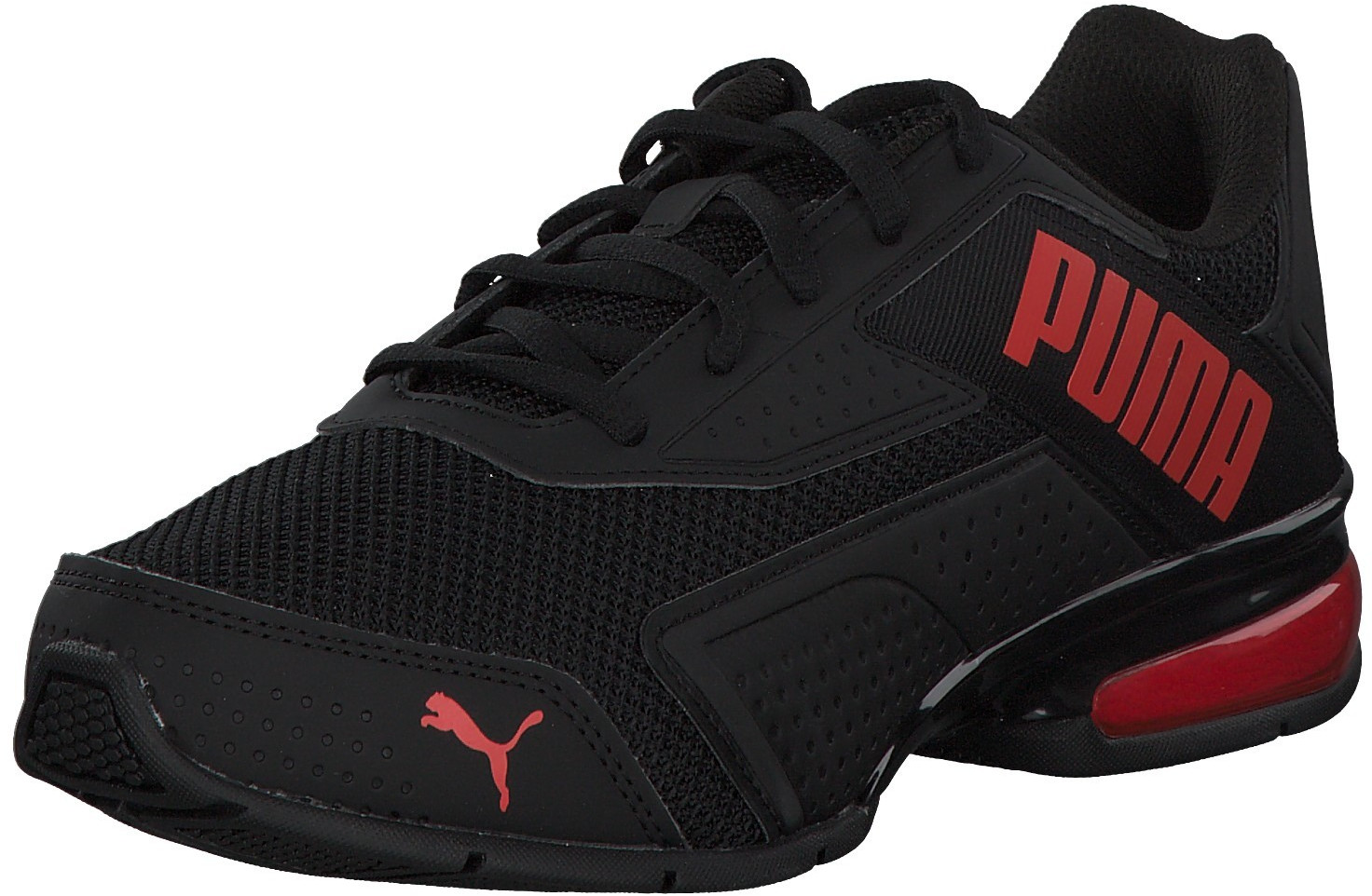 puma bold