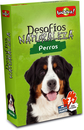 DES12ES