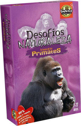 DES04ES