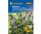 Kiepenkerl Basilikum Floral Spires Lavendelblau - 1 Pkg