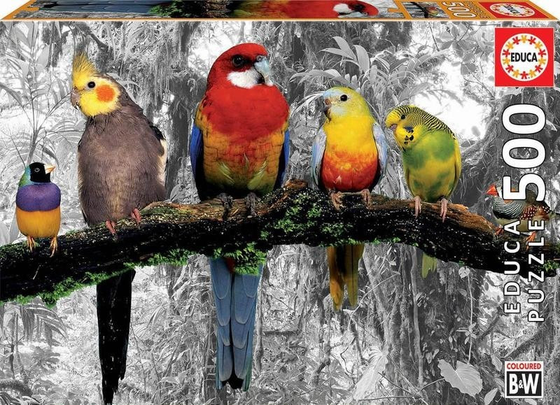 Educa Borrás 500 Birds on the jungle