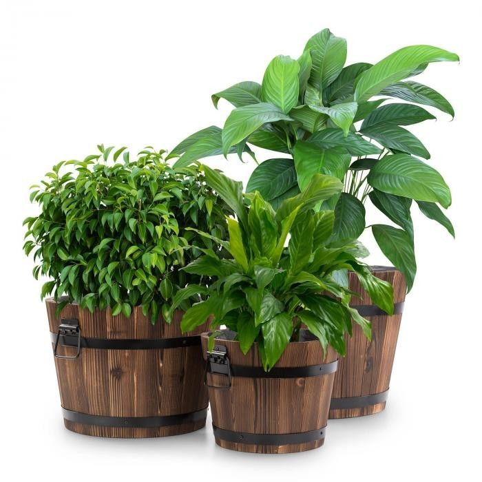 Blumfeldt Trifloris Wooden Bucket Set 3 Wooden Tubs Made of Fir Wood Brown