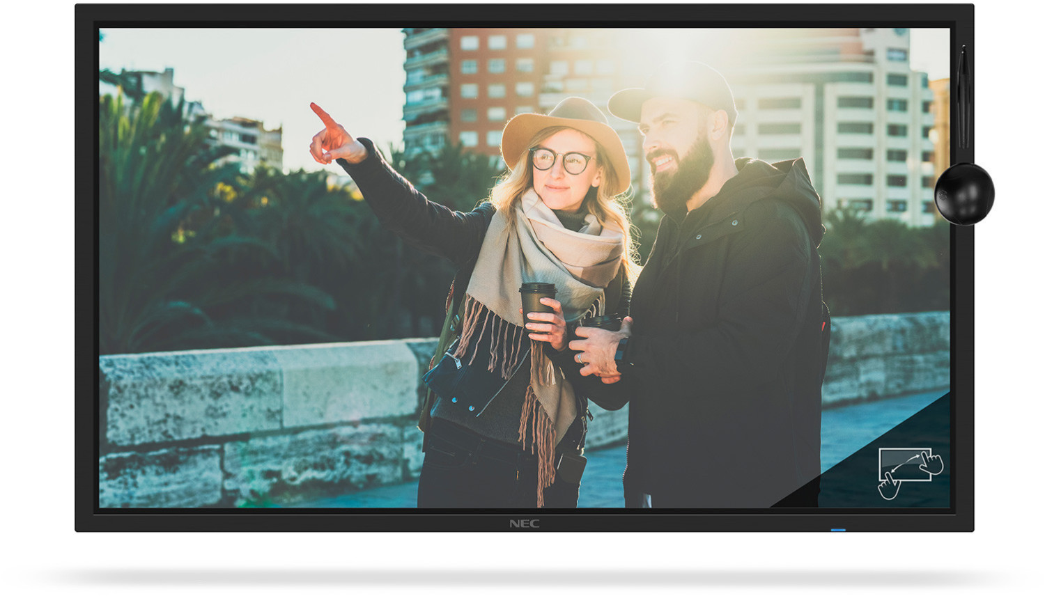 NEC Display Solutions MultiSync C981Q SST