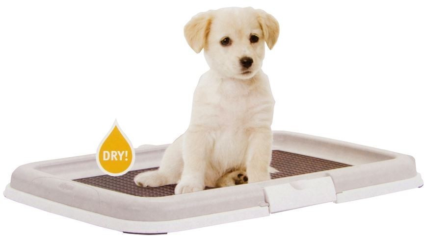 Zolux Toilettes pour chien
