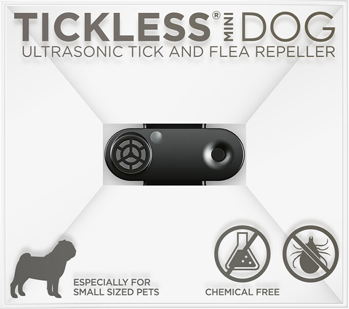 Tickless Mini Dog noir
