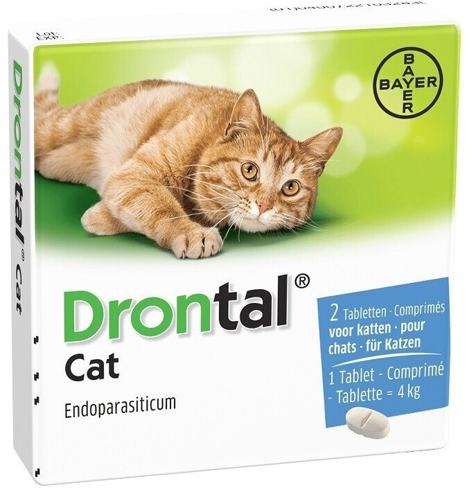 Bayer Santé Familiale Drontal Cat