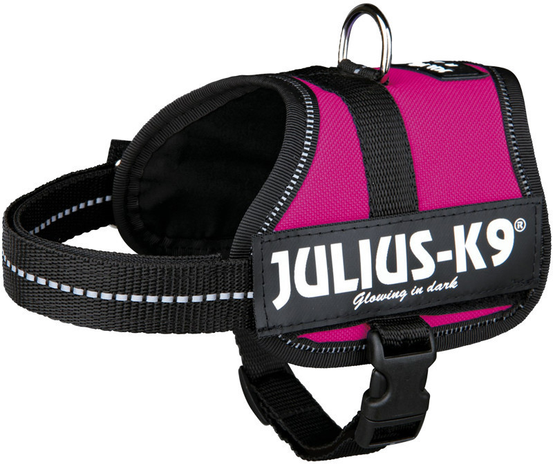 Julius K-9 Mini M dark pink