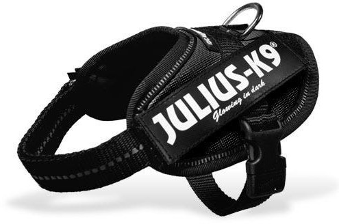 Julius K-9 IDC Powerharness S (Mini) black au meilleur prix sur