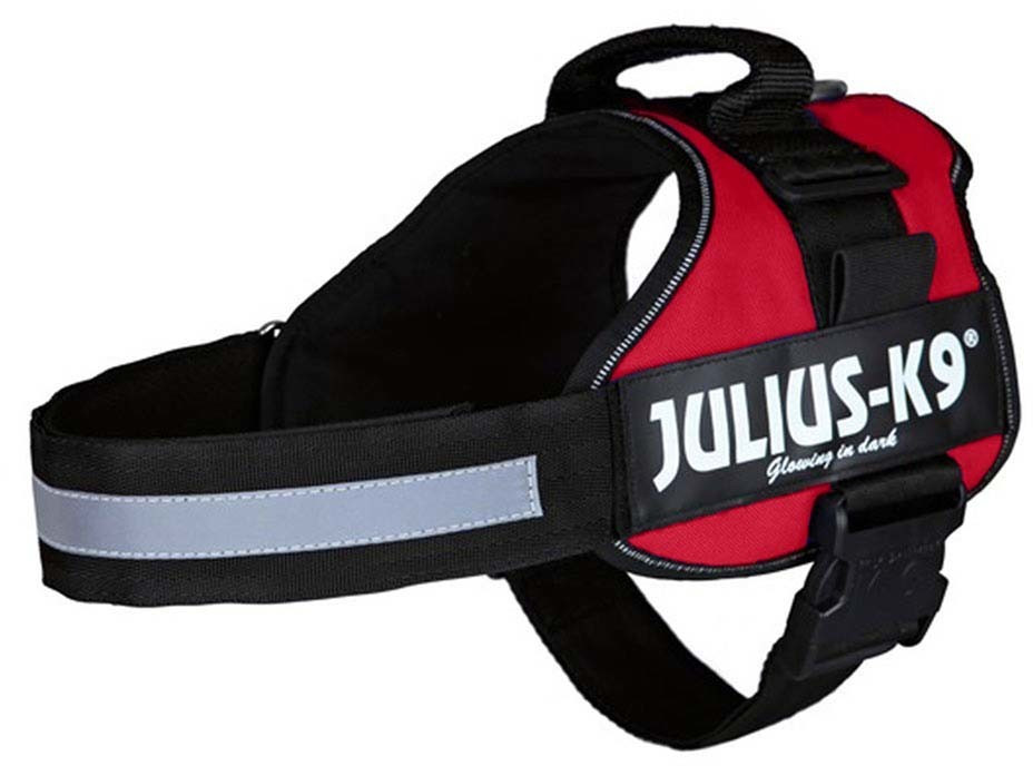 Julius K-9 Mini M Red