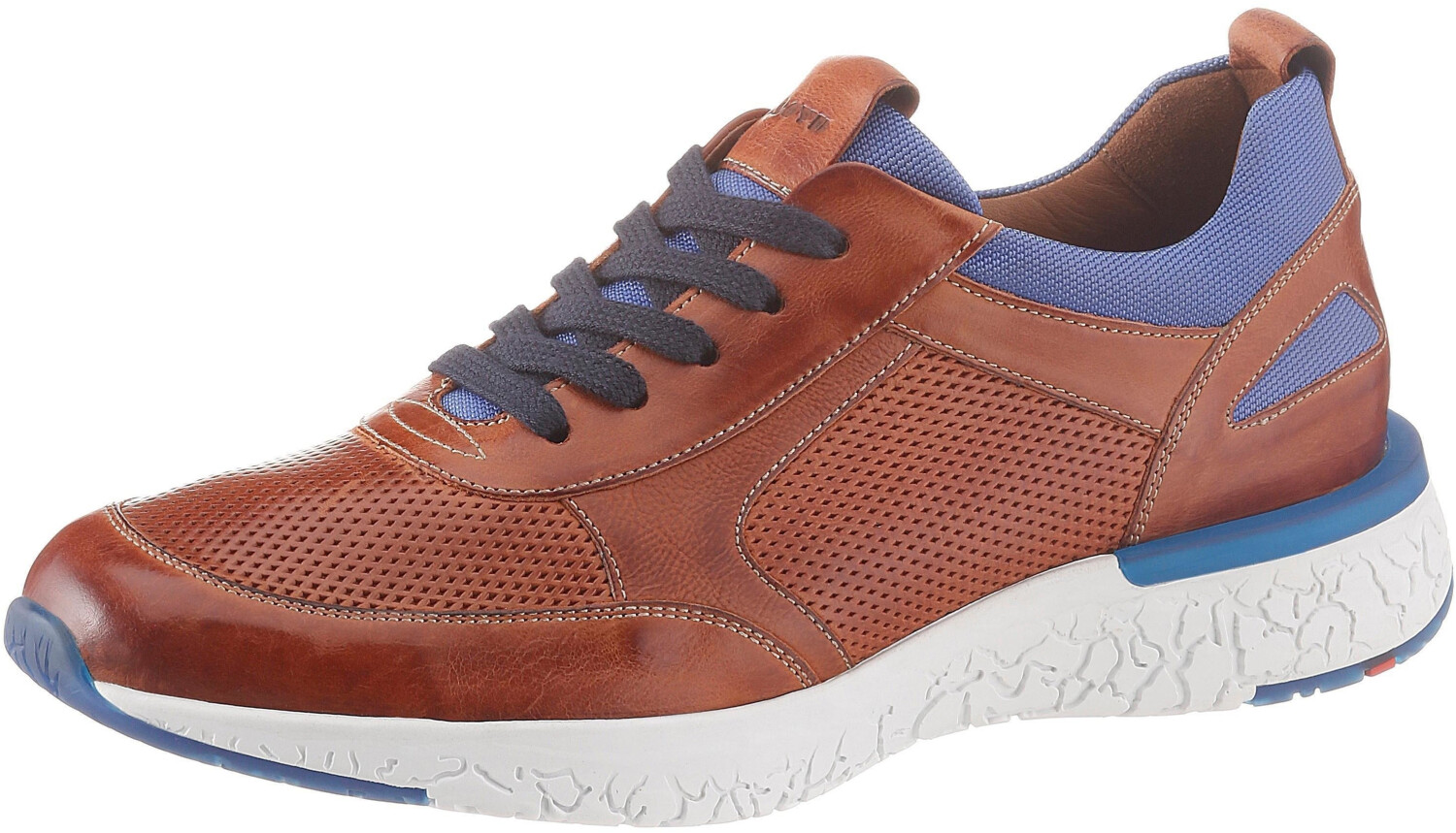 LLOYD Bandos Trainers
