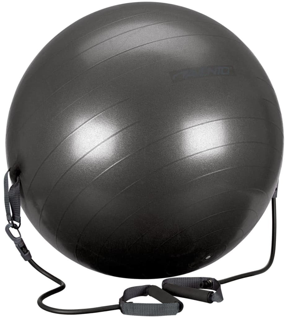 Avento Ballon de fitness avec tubes de résistance 65 cm noir (41TO-ZWG-65)