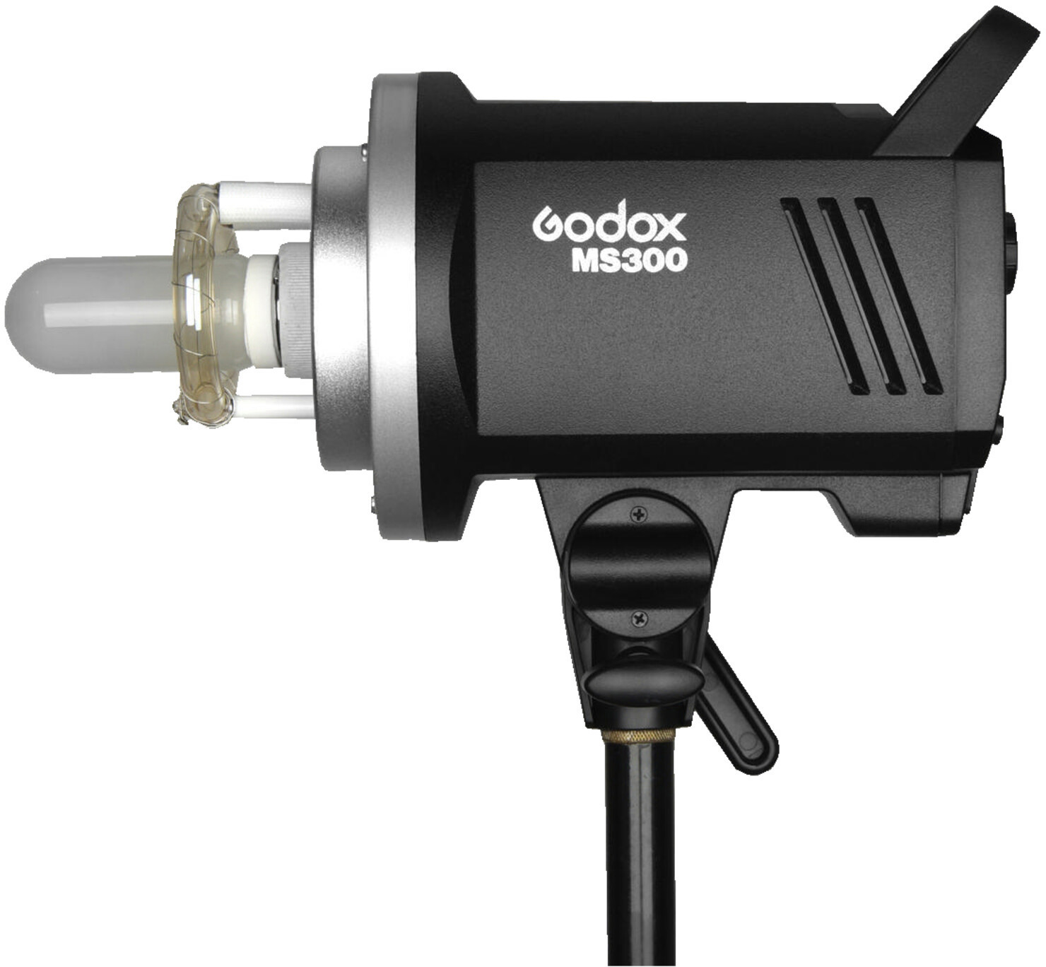 Godox MS300