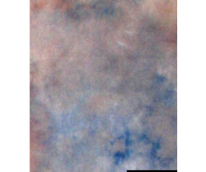 Bilora Textilhintergrund S122 2,9x7 m