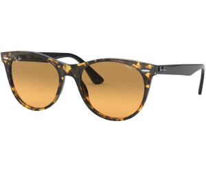 Wayfarer evolve ii sales