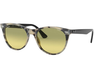 Wayfarer evolve 2025