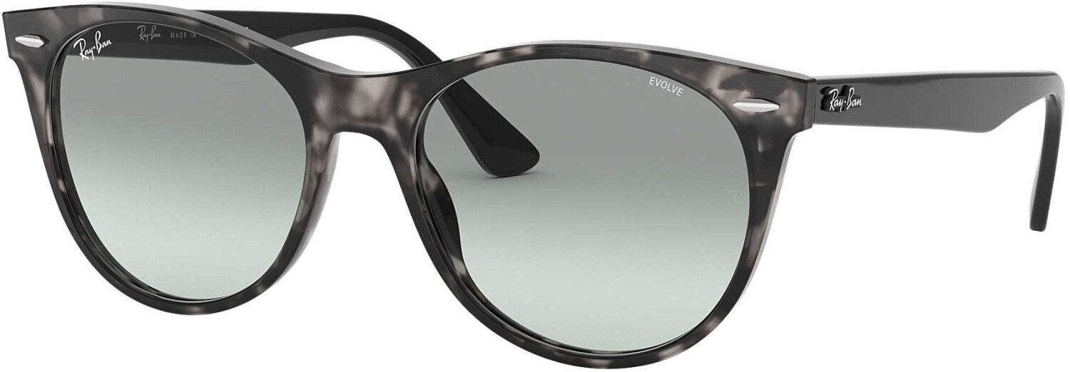 Wayfarer ii evolve new arrivals