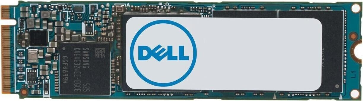 Dell PCIe 1 To (AA615520)
