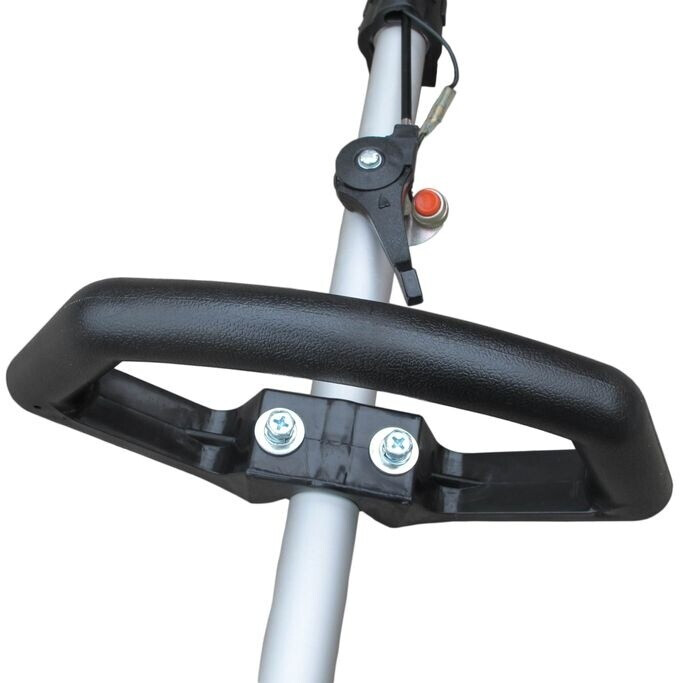 Varan Varan BG328 - back view