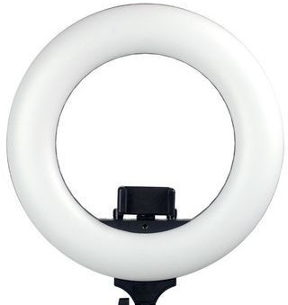 Caruba Vlogger 12 Zoll LED-Set
