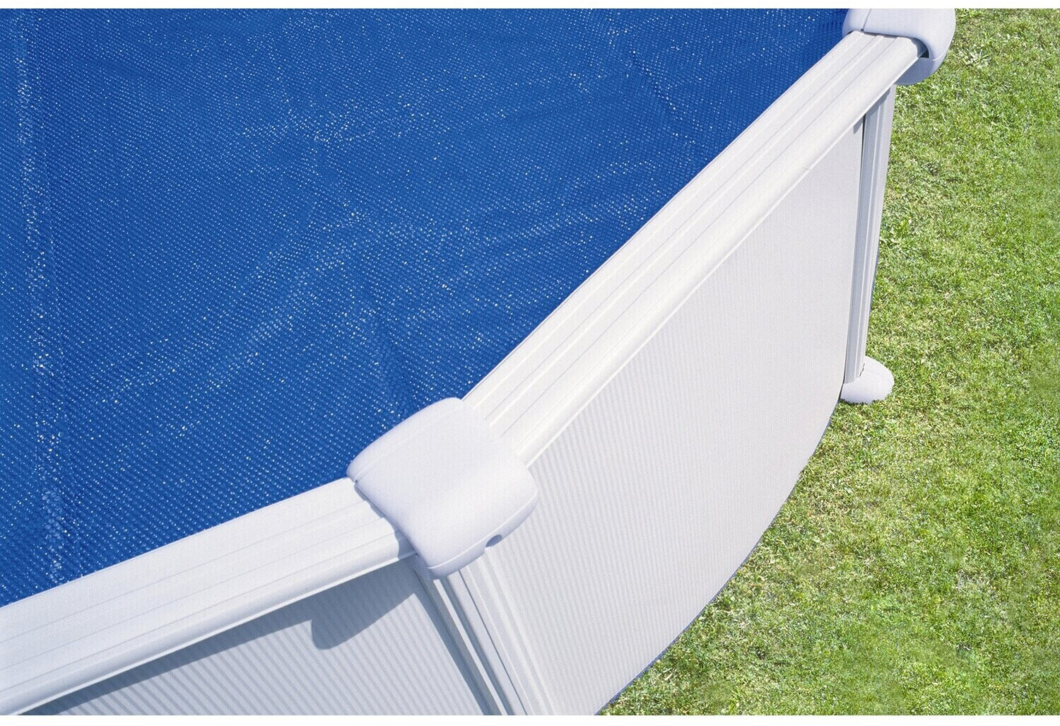 Summer Fun 900038