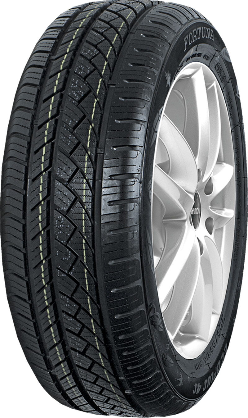 Fortuna Eco Plus 4S 205/40 R17 84W XL