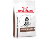 Gastro intestinal puppy new arrivals
