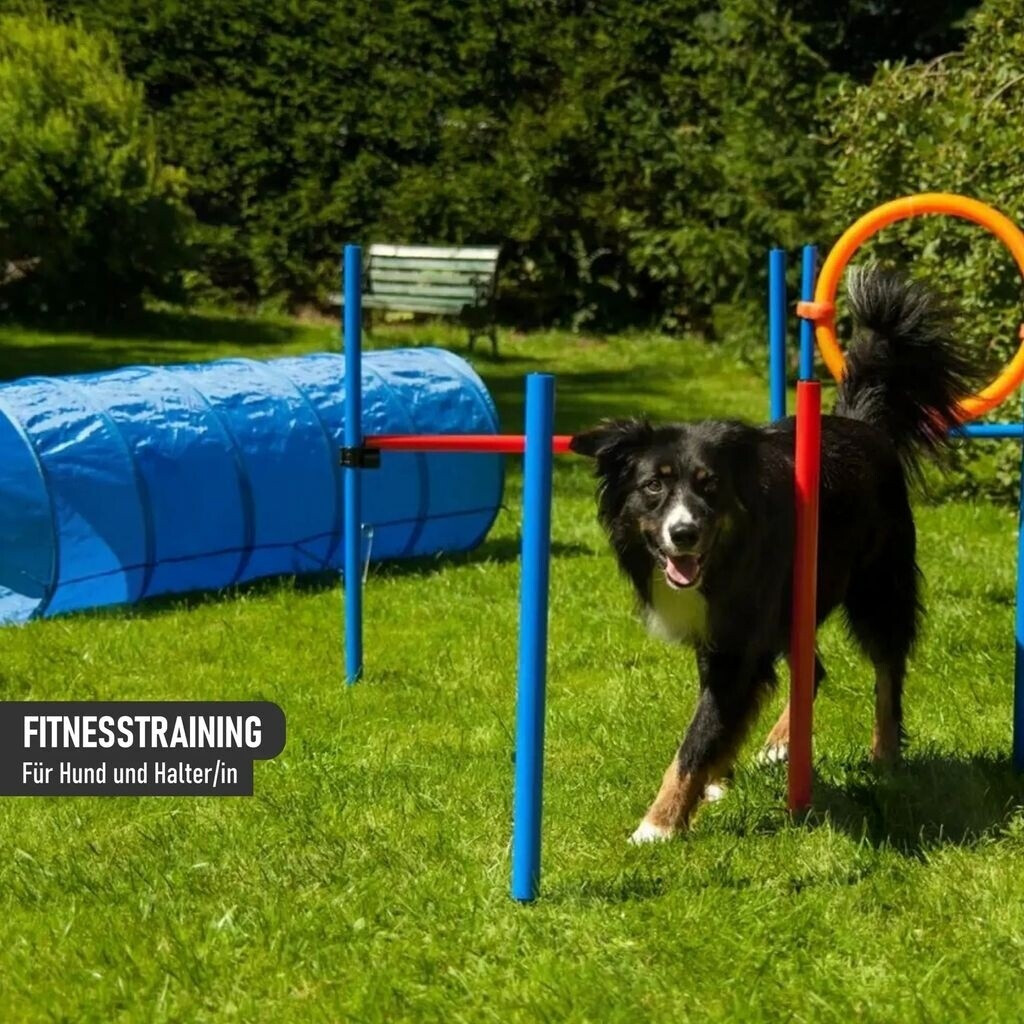 Procyon Kit agility Procyon Kit agility