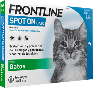 Frontline Spot On For Cats