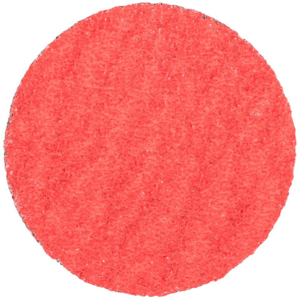 Pferd 42756408