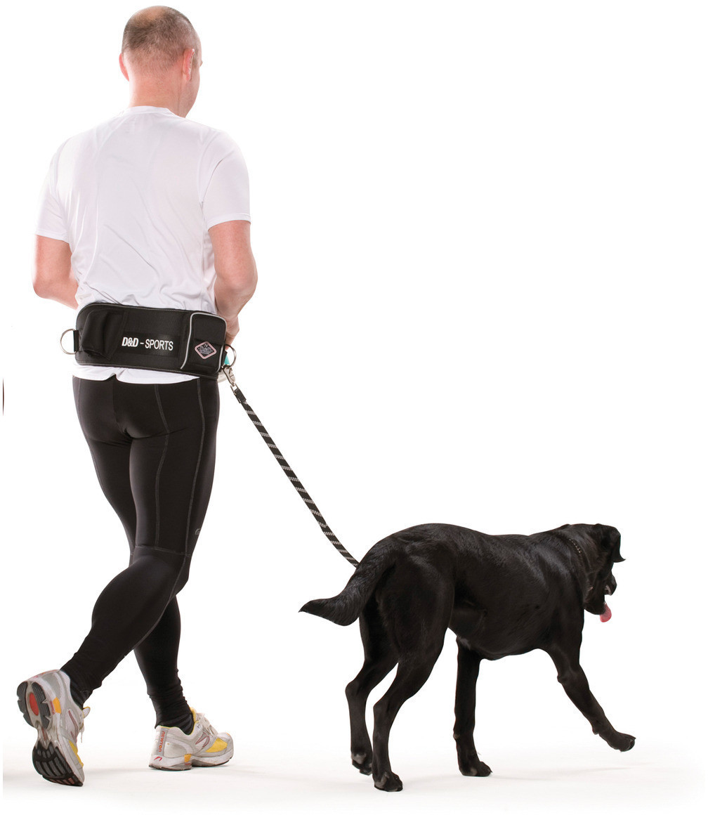 EBI Laisse main libre pour chien EBI Laisse main libre pour chien