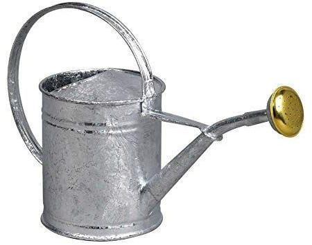 Guillouard Arrosoir acier galvanisé 1 L