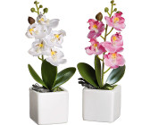 bei | Preisvergleich Künstliche Orchideen