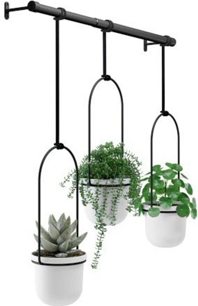 Umbra Triflora black/white