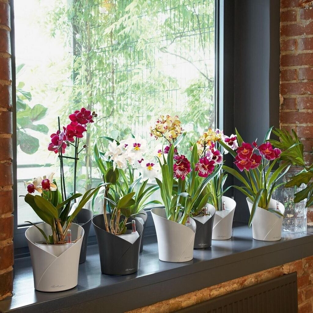 Lechuza Lechuza Orchidea 18x18x20cm grey - view 12