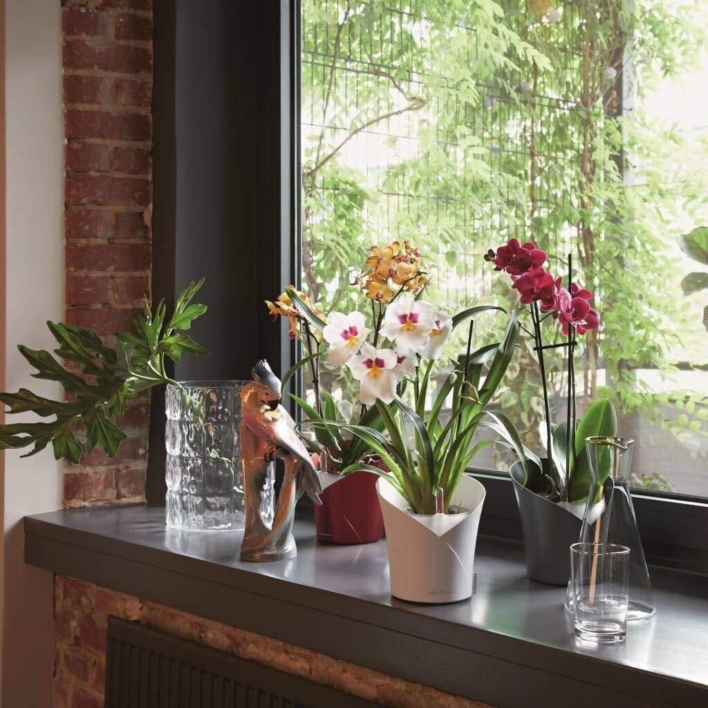 Lechuza Lechuza Orchidea 18x18x20cm grey - view 14