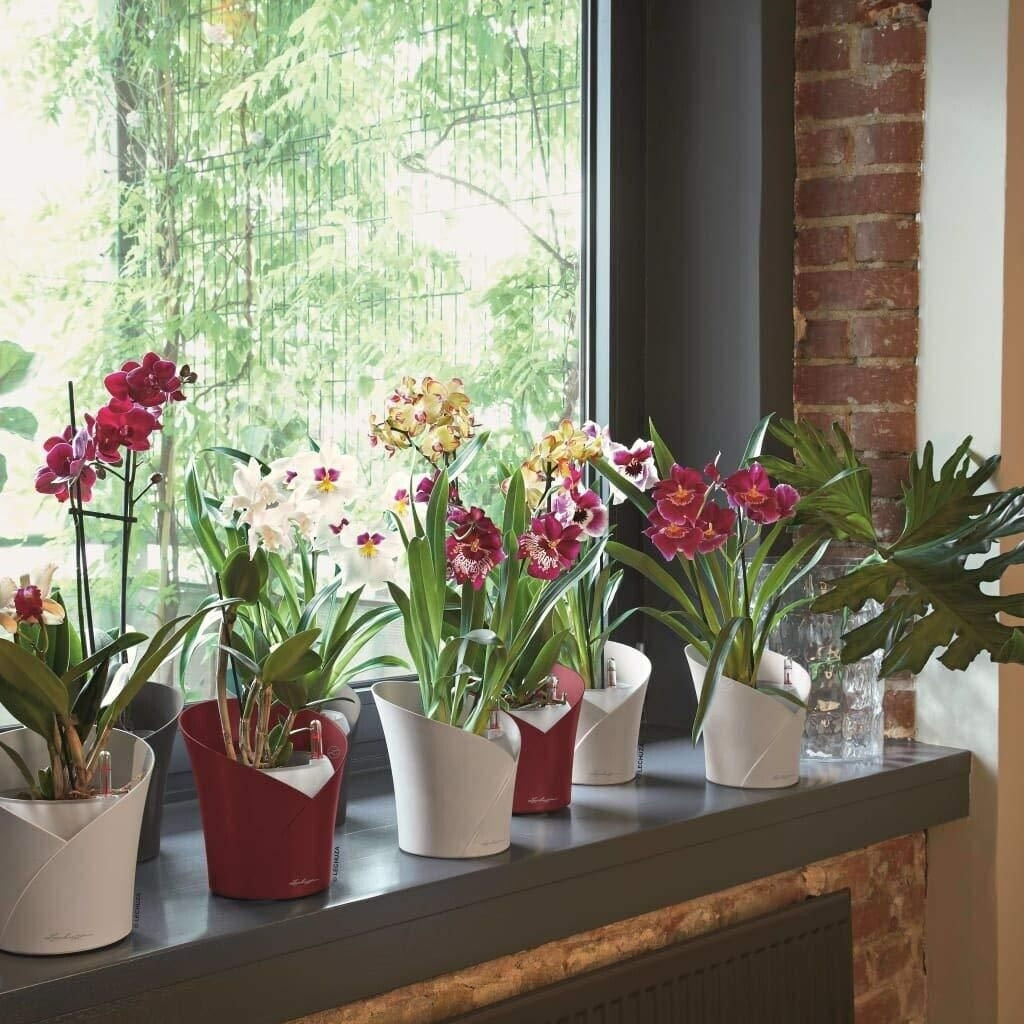 Lechuza Lechuza Orchidea 18x18x20cm grey - view 15