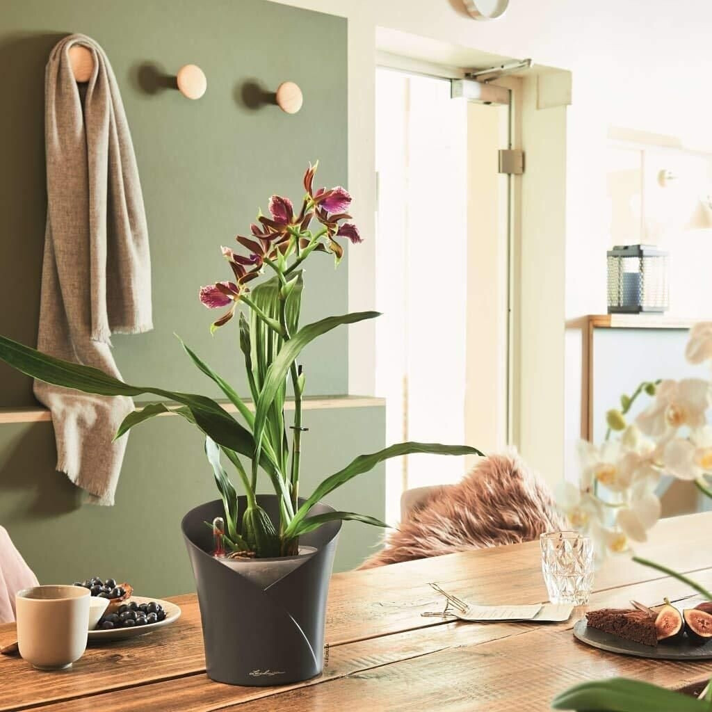 Lechuza Lechuza Orchidea 18x18x20cm grey - view 16