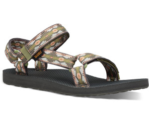 teva cactus