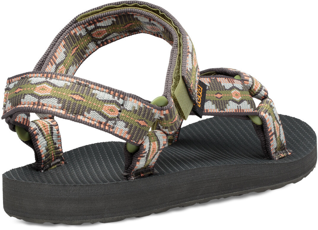 teva cactus