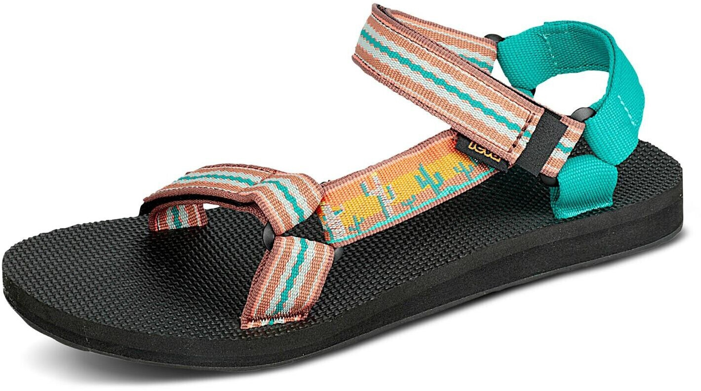 teva cactus